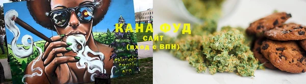 таблы Гусев
