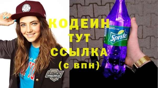 СК Гусь-Хрустальный