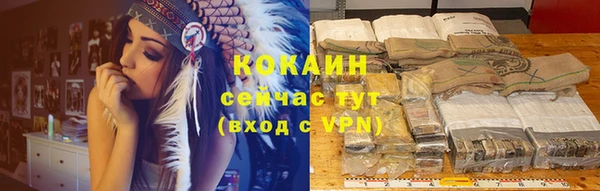 СК Гусь-Хрустальный