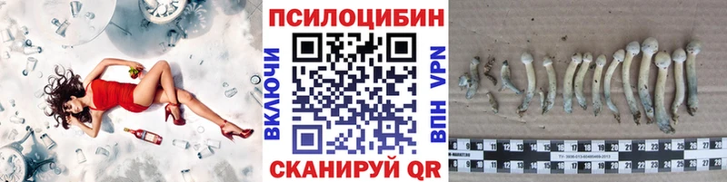 Галлюциногенные грибы ЛСД  блэк спрут ссылки  Щучье  продажа наркотиков 